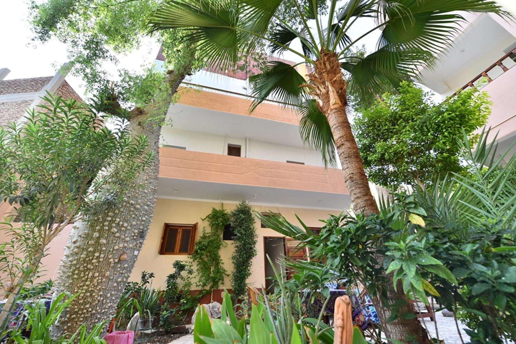 Amon Hotel ลักซอร์ ภายนอก รูปภาพ