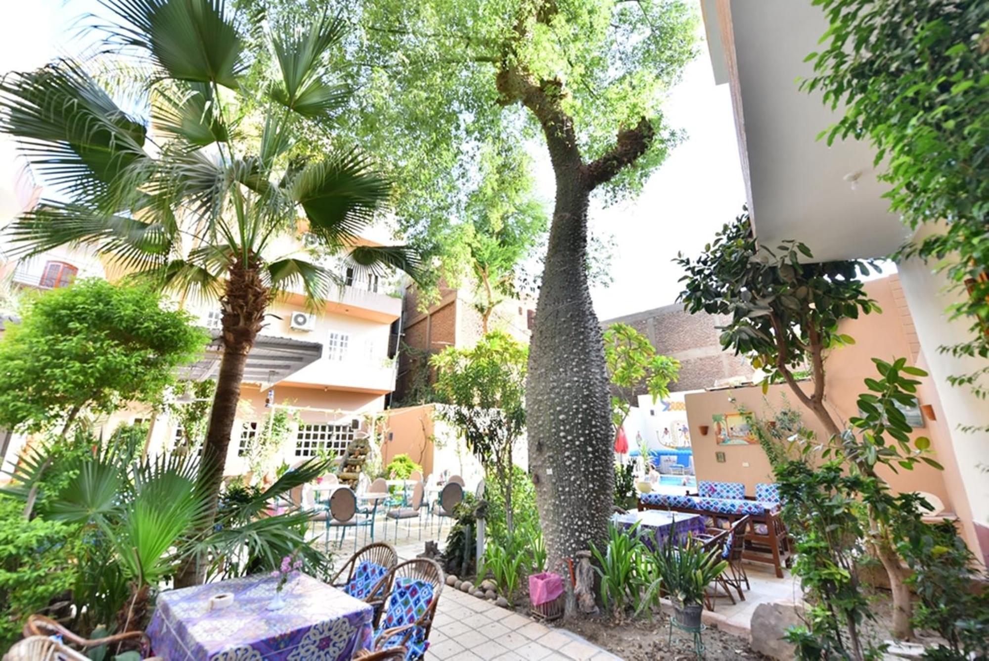 Amon Hotel ลักซอร์ ภายนอก รูปภาพ